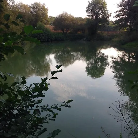 A La Convivialite * Bordeaux
